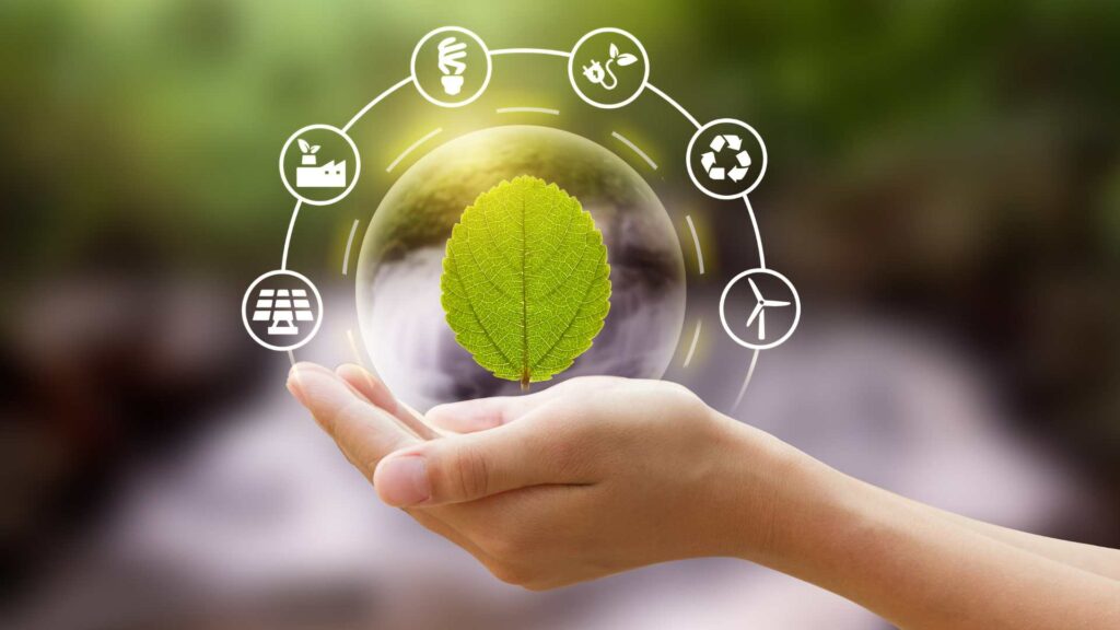 Environmental Conservation and Sustainability